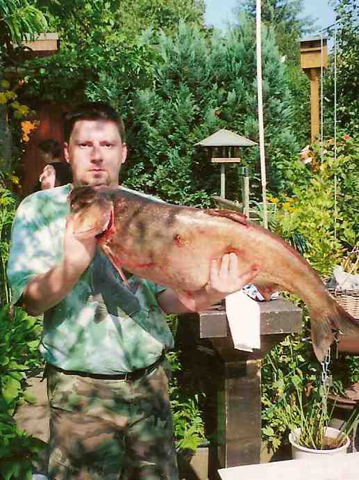 bigfish2